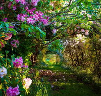 The Pear Walk - Taree Accommodation