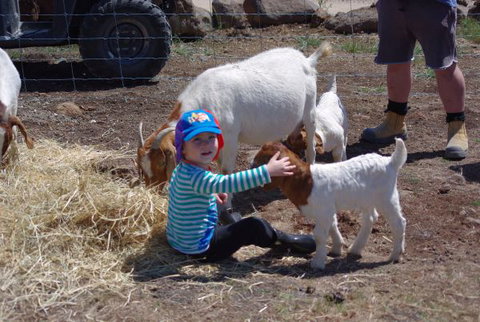 Yalooka Farm - Taree Accommodation 3