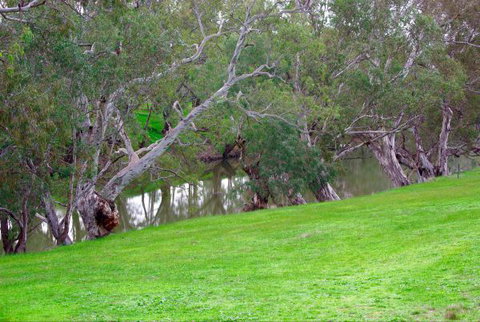 Yalooka Farm - Taree Accommodation 4