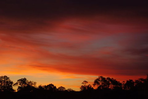 Yalooka Farm - Taree Accommodation 5