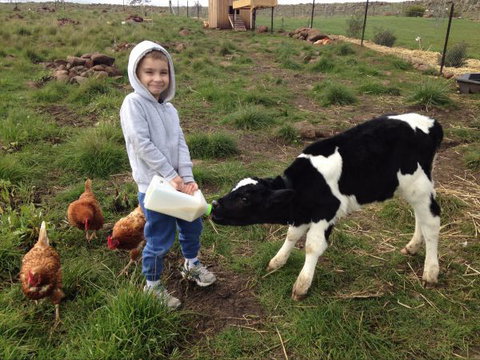 Yalooka Farm - Taree Accommodation 8