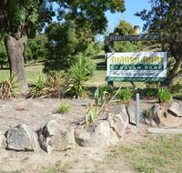 Adelong Golden Gully Caravan Park - Taree Accommodation