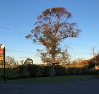 Alfred Motor Inn - Taree Accommodation