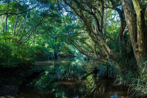 All About Me Bed And Breakfast - Taree Accommodation 9