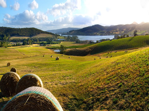 Frenchman's River - The Helmsman's House - Taree Accommodation 7