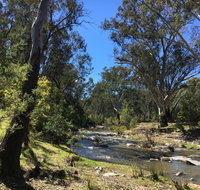 Highfield Farm and Woodland Bush Campsites - Taree Accommodation