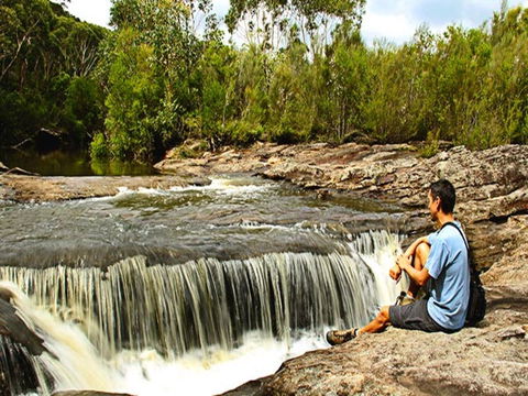 Kingfisher Pool Campground - Taree Accommodation 0