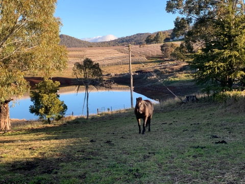 Melrose Cottage - Taree Accommodation 2