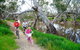 NRMA Echuca Holiday Park - thumb 0
