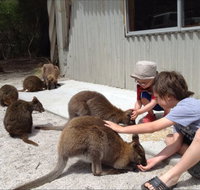 The Patriarch Wildlife Sanctuary Camping Ground - Taree Accommodation