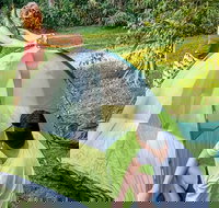 Warrabah campground and picnic area - Taree Accommodation