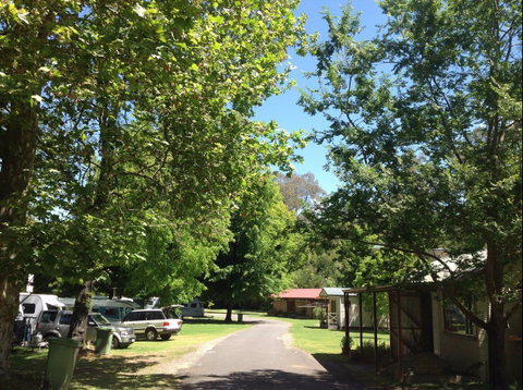 Yackandandah Holiday Park - Taree Accommodation 0