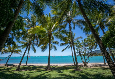 Airlie Beach YHA - Taree Accommodation 1