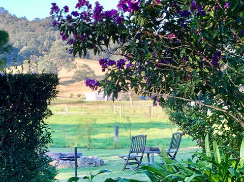 Arcadia Cottages At Cambewarra - Taree Accommodation 5