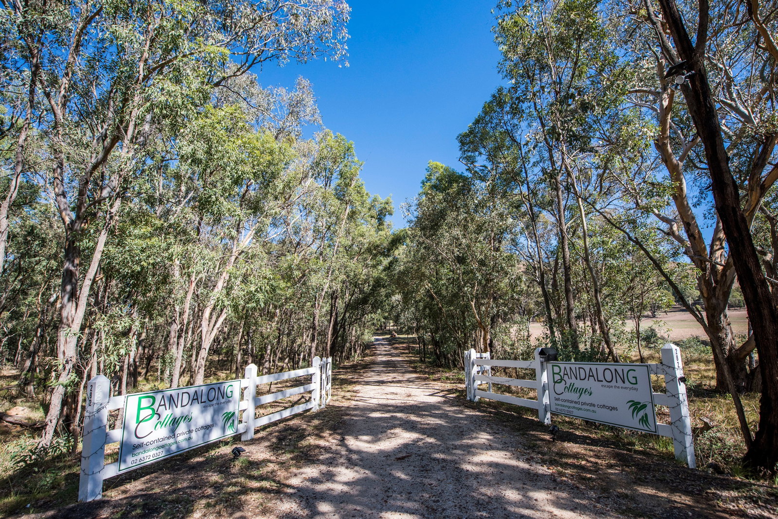 Wollar ACT Taree Accommodation