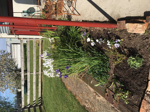 Fairview Bed And Breakfast Cottage - Taree Accommodation 2