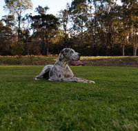 Hunter Valley Retreat - Taree Accommodation