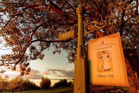L'Oliveraie - Taree Accommodation 1