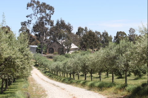 L'Oliveraie - Taree Accommodation 2