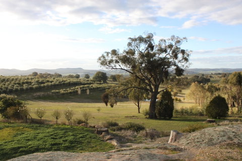 L'Oliveraie - Taree Accommodation 3