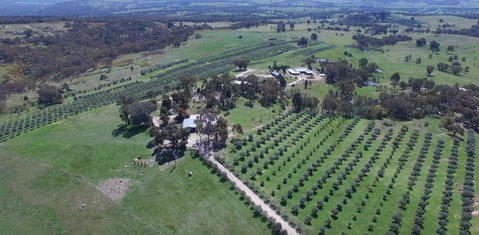 L'Oliveraie - Taree Accommodation 6