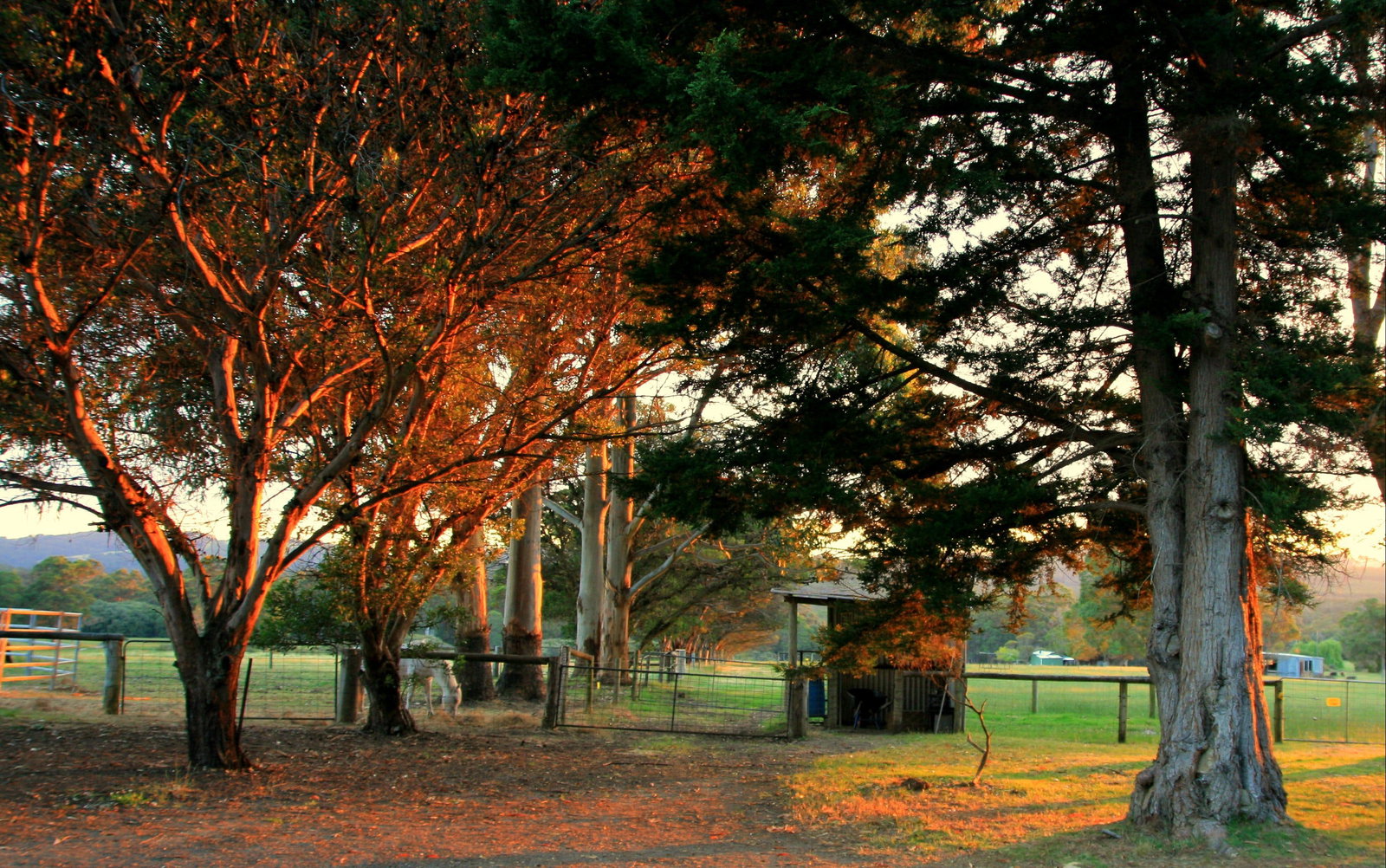 Scotsdale WA Taree Accommodation