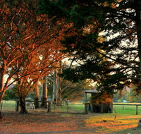 Misty Valley Country Cottages - Taree Accommodation