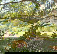 Nimbin Rox YHA - Taree Accommodation