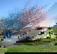 Wellington Caves Caravan Park - Taree Accommodation