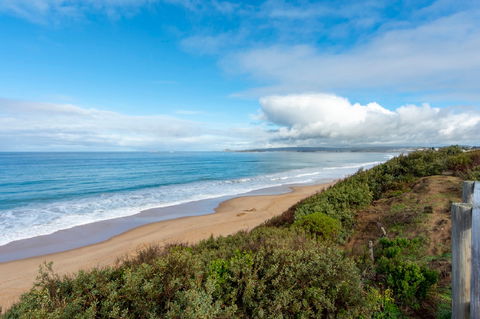 Absolute Boomer - Taree Accommodation 1