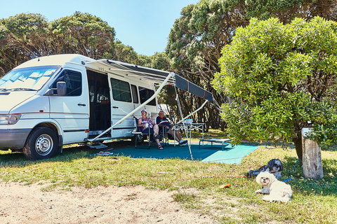 Anglesea Family Caravan Park - Taree Accommodation 2