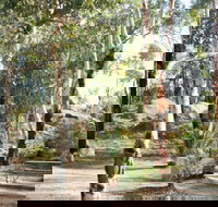 Bald Hill  Camp at Avon Valley National Park - Taree Accommodation