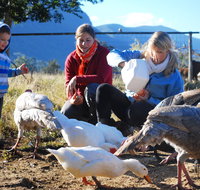 Cedar Glen Farmstay