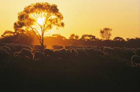 Clandulla Cottages & Farmstay - Taree Accommodation 0