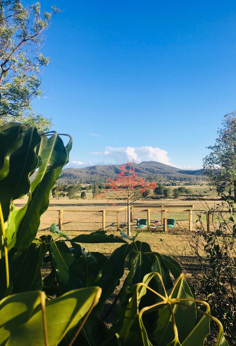 Clandulla Cottages & Farmstay - Taree Accommodation 2