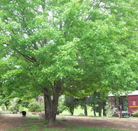 Hill End Holiday Ranch - Taree Accommodation