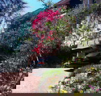 Linley House Bed and Breakfast - Taree Accommodation