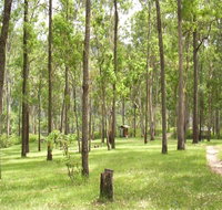 Nymboida River campground - Taree Accommodation