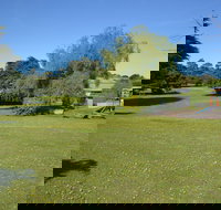 Pine Country Caravan Park - Pet Friendly - Taree Accommodation