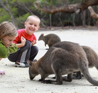 The Patriarch Wildlife Sanctuary Camping Ground - Taree Accommodation