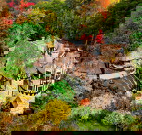 Thorngrove Manor Hotel - Taree Accommodation