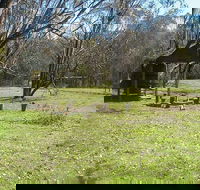 Tin Mines campground - Taree Accommodation
