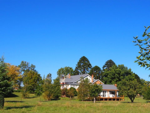 Tom's Cottage - Taree Accommodation 1