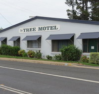Tree Motel - Taree Accommodation