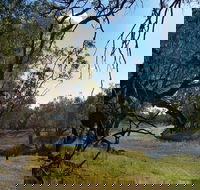 Yanda campground - Taree Accommodation