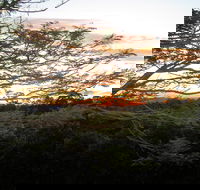 Annie's Place Bed and Breakfast - Taree Accommodation