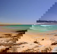 Grassy Head Holiday Park - Taree Accommodation