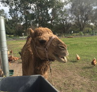 Mudgees Getaway Cottages - Taree Accommodation