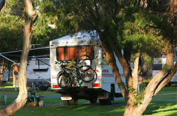 BIG4 Albany Gardens Holiday Resort - Taree Accommodation 3