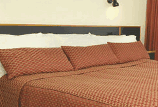 Margarets Forest Holiday Apartments - Taree Accommodation 0